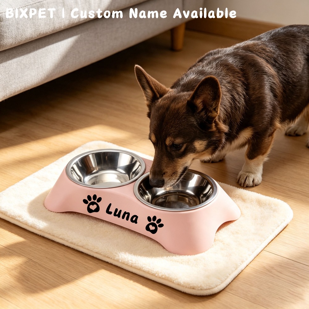 Customizable Stainless Steel Dog Bowl, Double Bowl Set