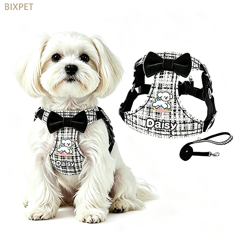 Name Bow-Decorated Harness & Leash for Small Dogs & Cats