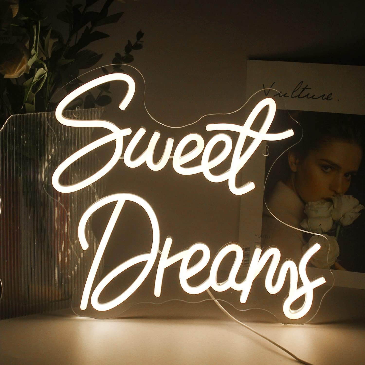 dream neon sign sold on Temu United States