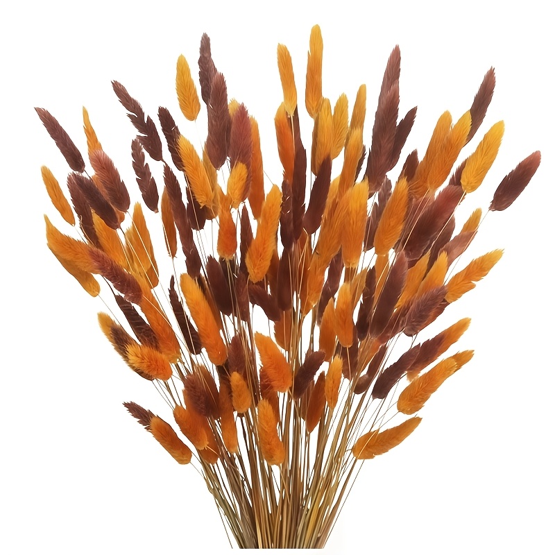 TEMU 53pcs Set Of Bohemian-style Artificial Bunny Tail Grass And Flowers - Brown-orange Low-maintenance Artificial Plants, Suitable For Weddings,