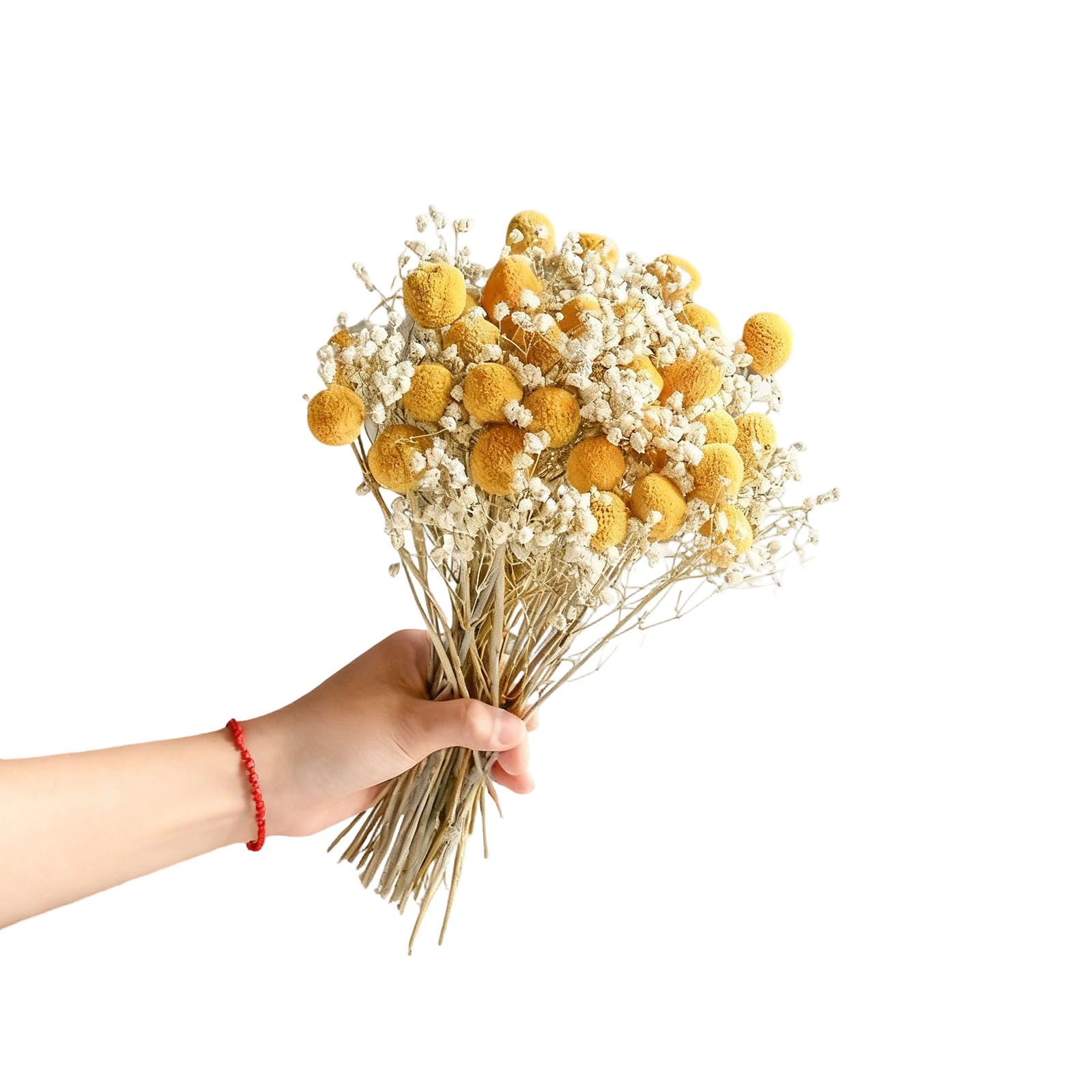 Image of Bouquet Of Dried Flowers With Authentic Craspedia And 's Breath For Vase Centerpiece In Living Room Decor