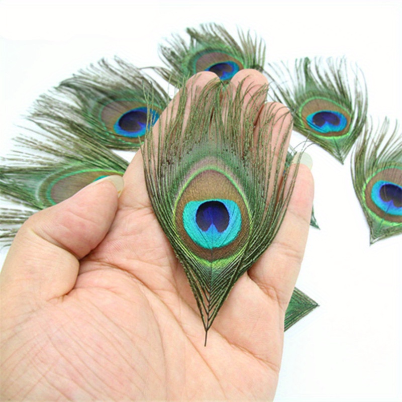 TEMU 24pcs/ Lot Simulation/ Realistic 13-16cm Simulation/ Realistic Peacock Feathers For Decoration Eye Wedding Accessories Decoration