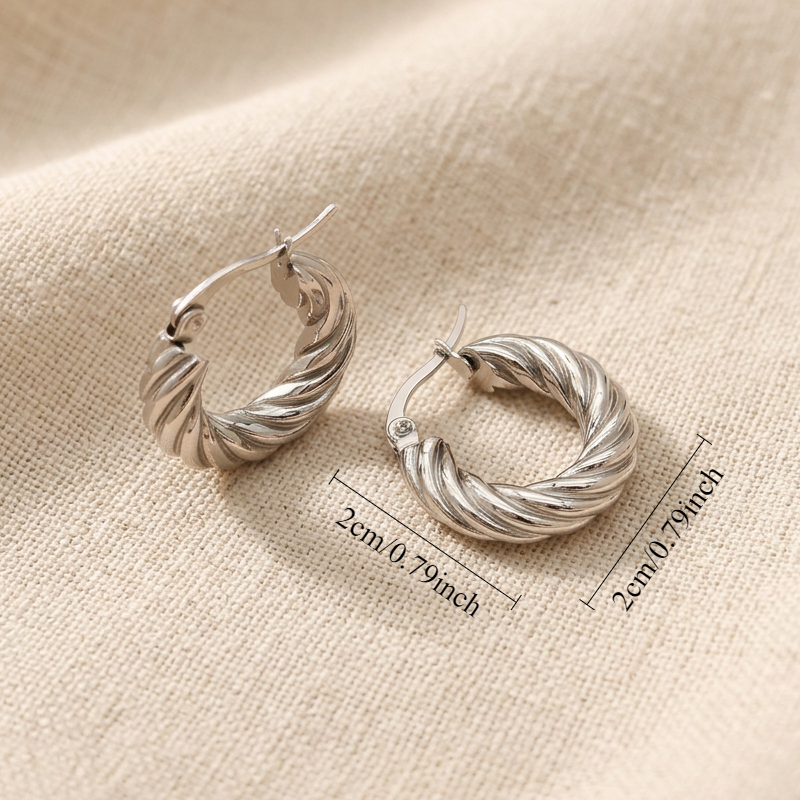 Women's Stainless Steel Fashion Hoop Earrings