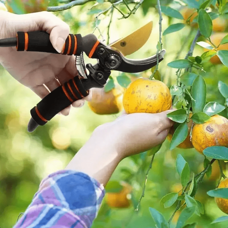 2pcs set   garden shears and a sharpening rod professional titanium alloy bypass pruning     shears suitable for horticultural trimming garden hedge trimmers handheld pruners more durable when used   Product details 5