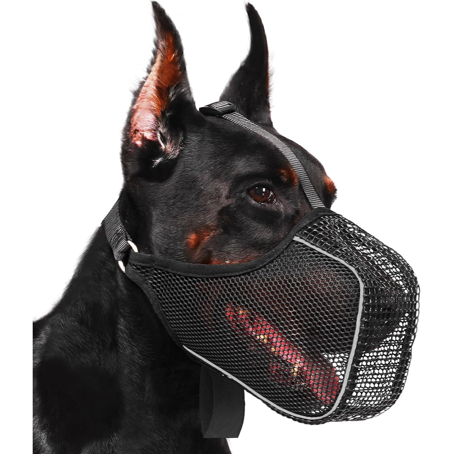 Mesh Dog Muzzle with Panting Room - Soft Reflective Full Covered Anti-Bite Design for Medium & Small Dogs, Gentle on Gums & Teeth, Durable Polyester for Vet Visits, Walks & Grooming, Dog Muzzle for Small Dogs, Vet Visits Accessory, Reflective Safety Features