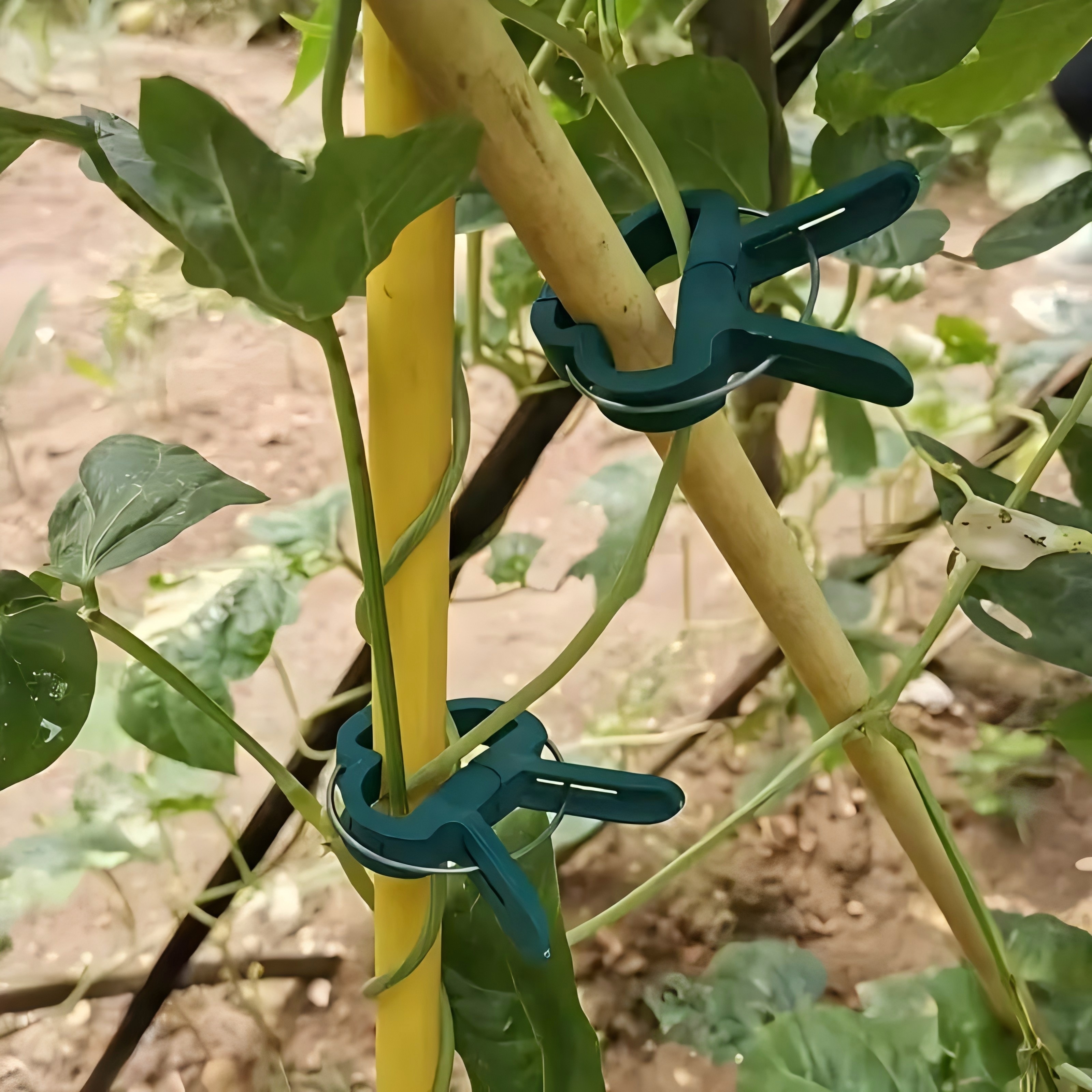 50 bucăți de cleme reglabile pentru plante - suport reutilizabil de grădină pentru flori, viță de vie, legume și roșii