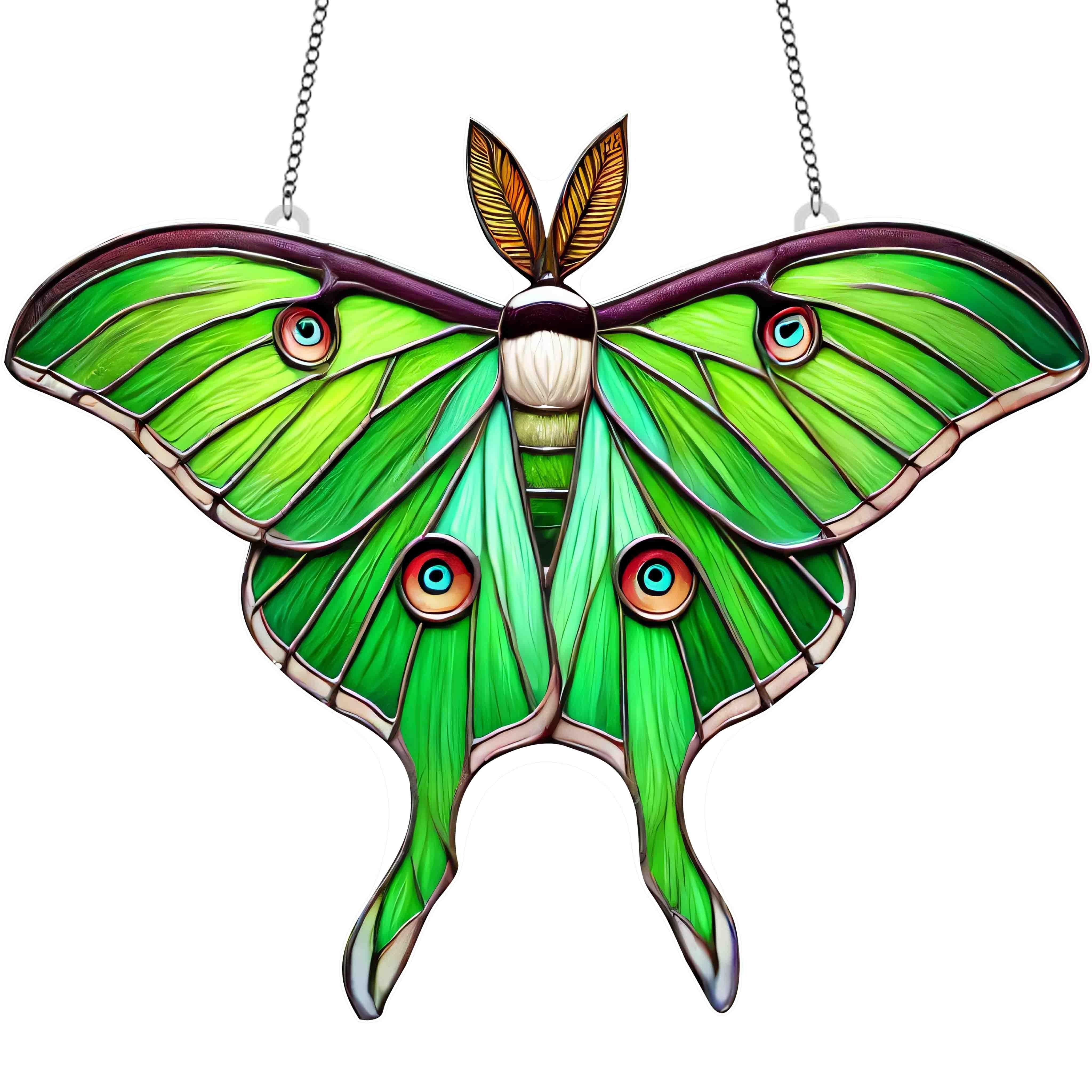TEMU 2d Flat Printed Acrylic. 1pc, 2d Flat Acrylic, Moth Garden Suncatcher, Insect Decoration, Women's Gift, Unique Women's Gift, Black Room Decor,