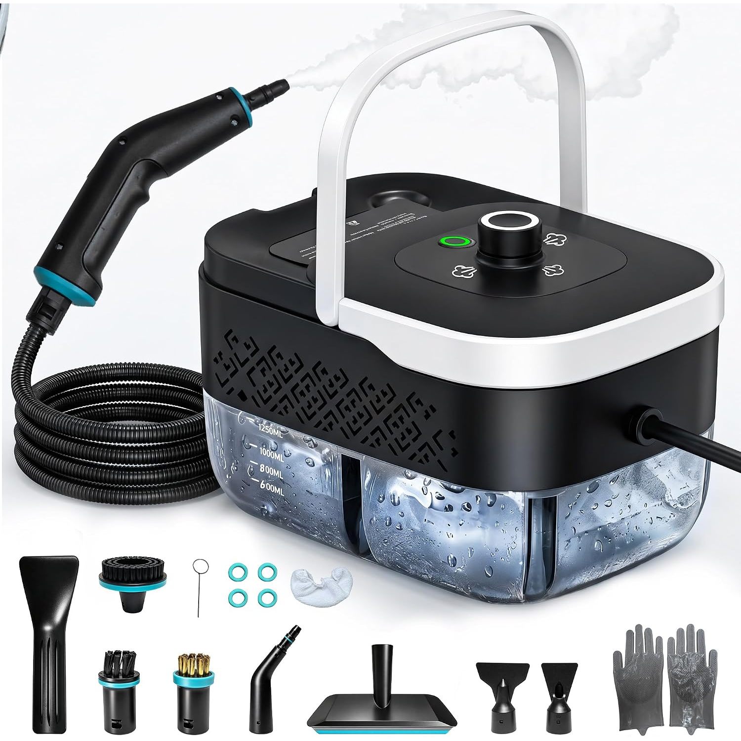 steam high pressure cleaner sold on Temu United States