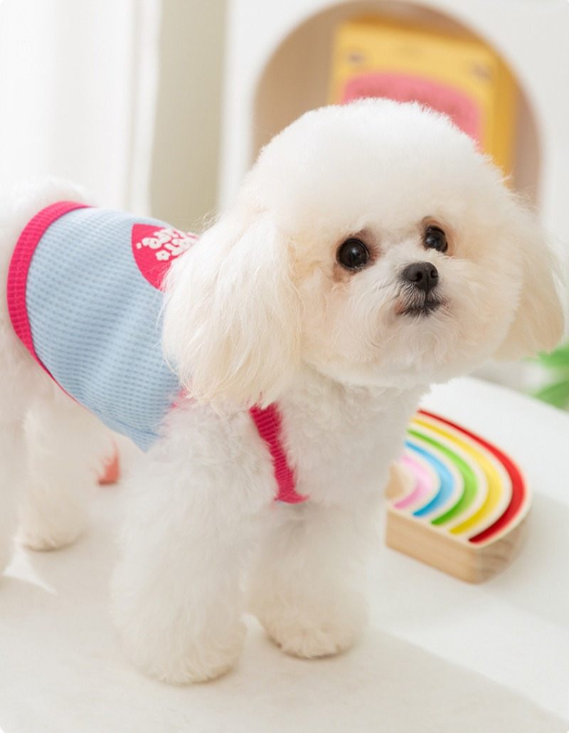 1 colete para cães /verão 100% poliéster - Temu Brazil, image size:800x1030