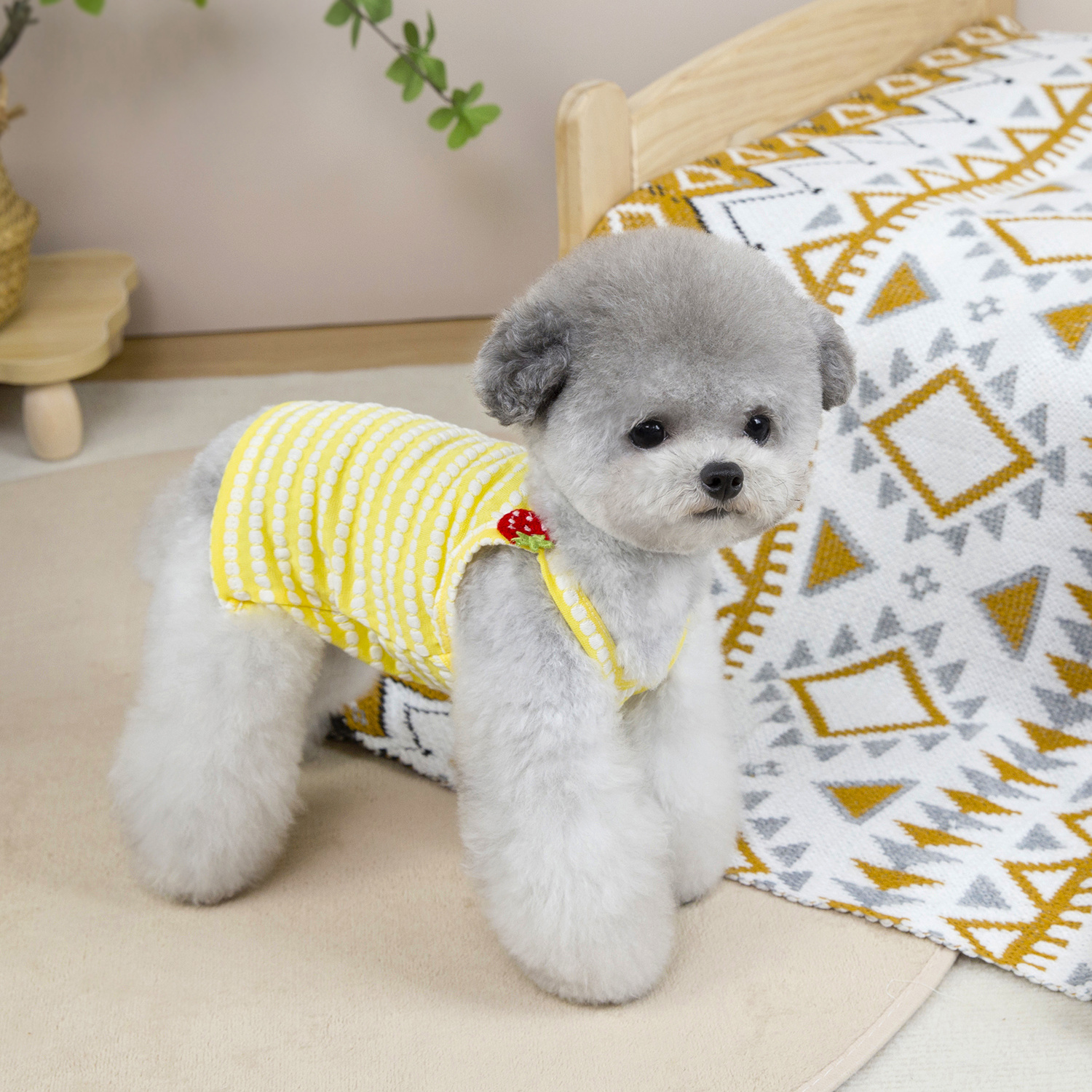 ropa mascotas pequeñas sudaderas perros chihuahua Temu