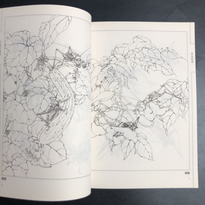 Chinese Line Drawing Grasshopper Painting Book: Beginner's Guide to Traditional Chinese Art, Sketching for Relax - DIY Coloring Book for Teens and Adults, Watercolor, Ink Wash, Oil Painting Chinese Version