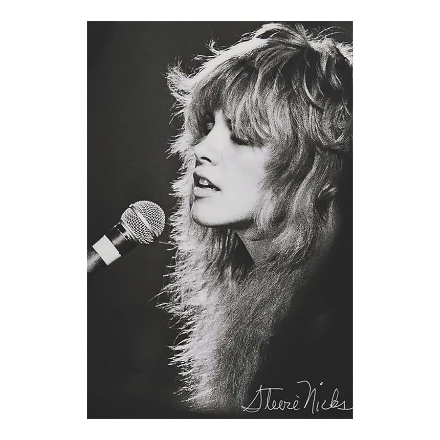 

Stevie Nicks Vintage Canvas Poster - 12x18 Inch Musician Wall Art, Black & White Live Performance Decor For Living Room Or Bedroom, Music Room Decor