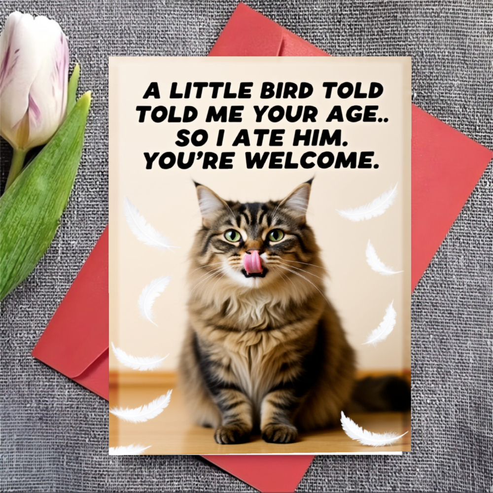 TEMU 4pcs Set (2 Greeting Cards+2 Envelopes) Of High-quality Greeting Cards And Envelope Sets, Suitable For Adults With Cat Licking Feathers. Fun
