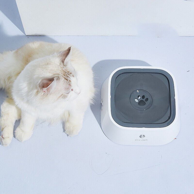 Petlibro No-Spill Slow Feeder Dog Water Bowl, Plastic, Non-Electric, Durable Pet Drinking Dispenser for Cats and Dogs