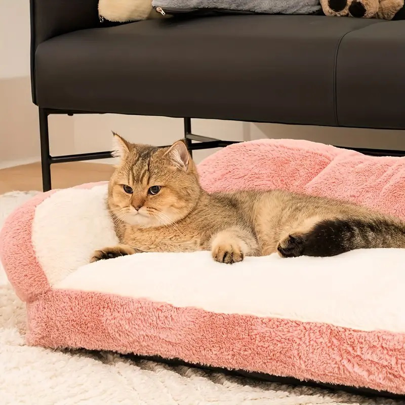 soft   sofa bed for small dogs puppies cozy polyester dog bed with plush cushioning warm durable indoor bedding for   indoor use dog couch bed stylish pet accessory comfortable   Product details 1