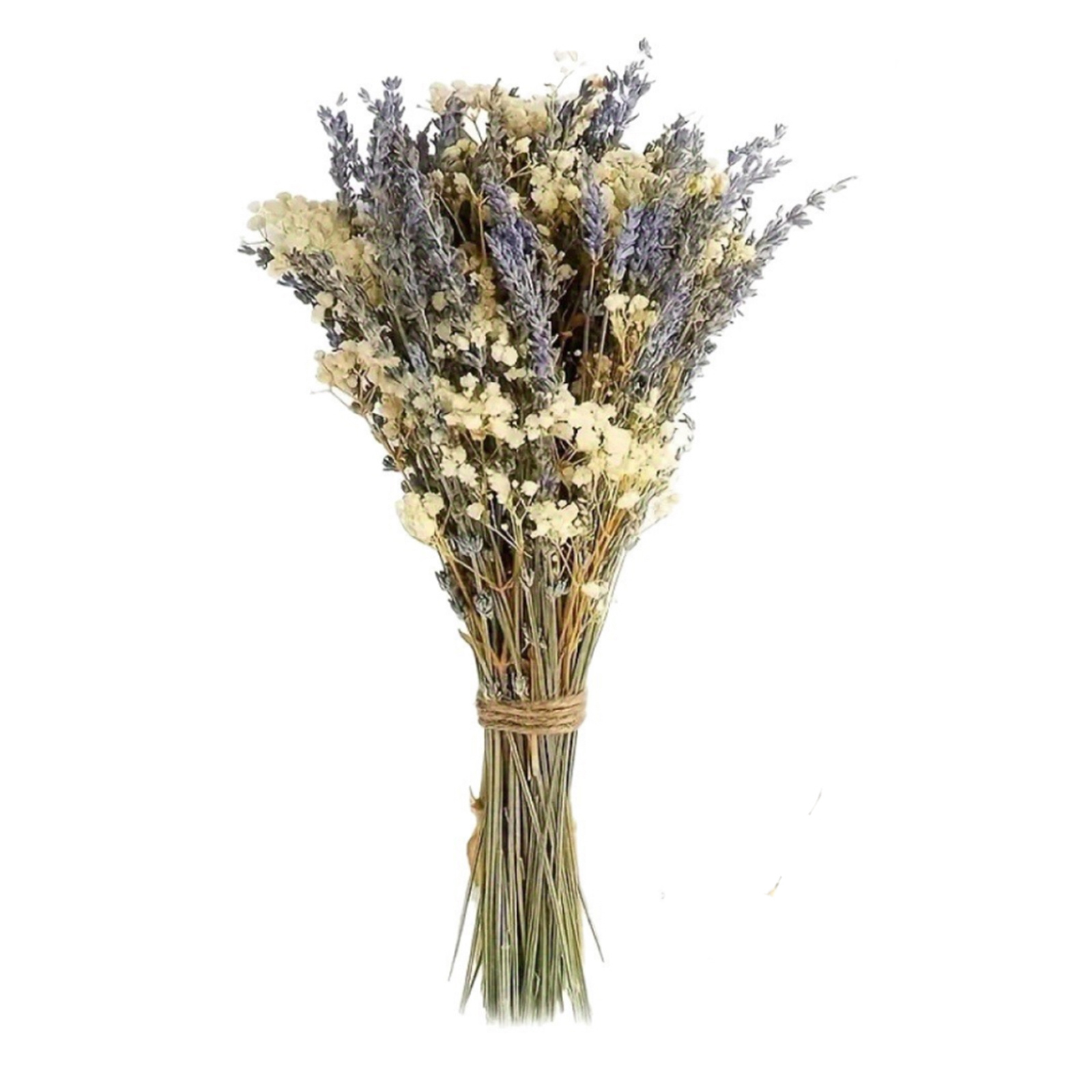 Dried Flowers Bouquet, Babys Breath Lavender Flowers Bouquet Valentines Day Present