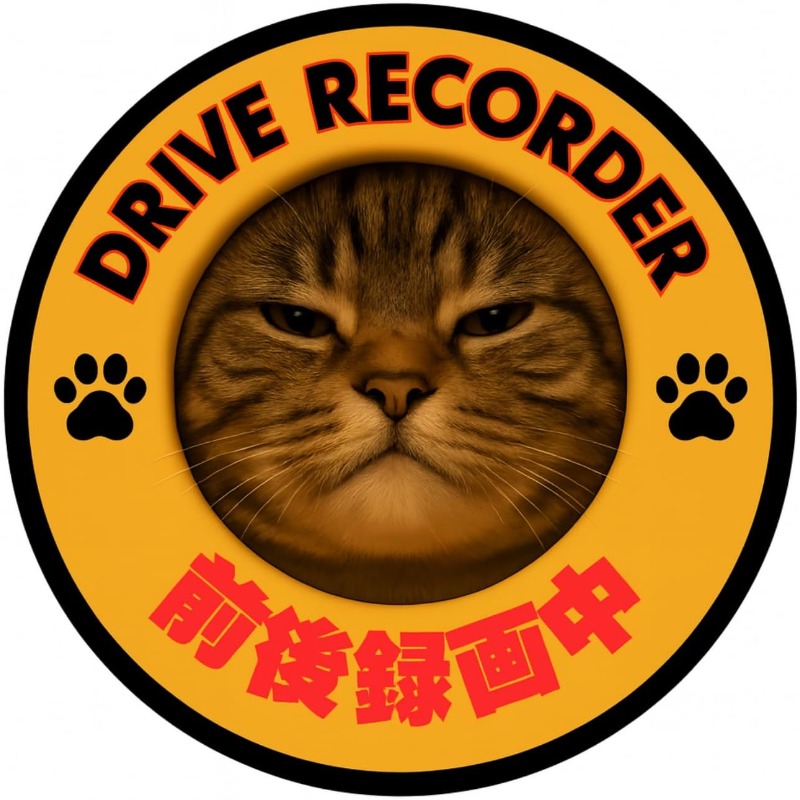 TEMU ドライブレコーダー、ステッカー、猫デザイン、前後映像、耐候性、目を引く警告サイン