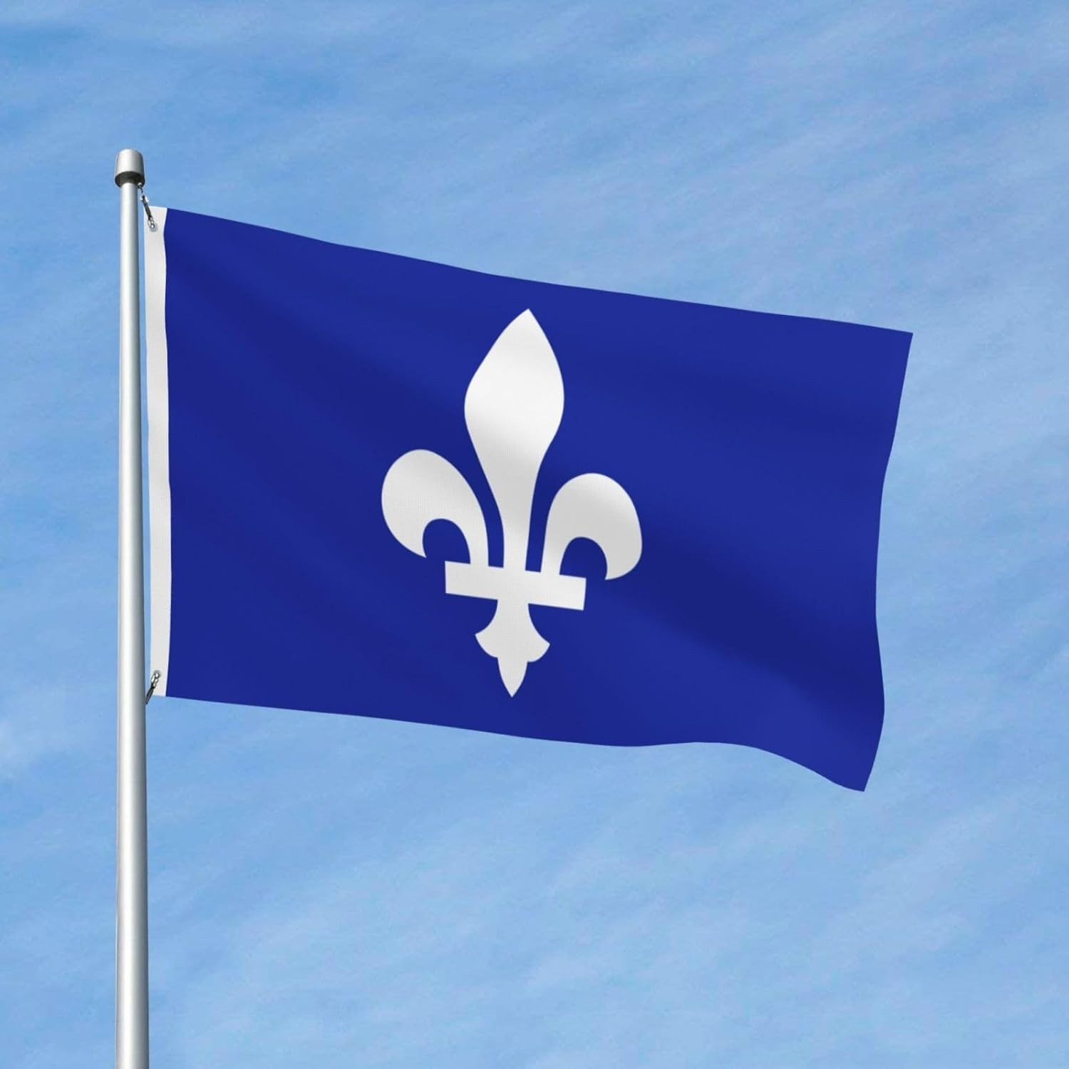 TEMU Drapeau : 1 pièce Drapeau du Québec Simple Face – Fabriqué en Durable, Drapeau d'Extérieur Présente un Motif Floral Saissant Bleu et Blanc. Il