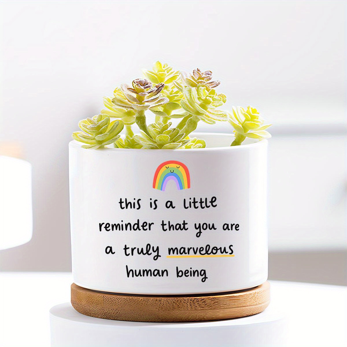 TEMU A - Plant Lover Gifts For Women And Men - Appreciation Gift With Cute Planters For Coworker, Best Friend, Teacher, Sister, Mom - Ideal Plant