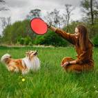 24pcs foldable flying disc or fan disc set folding flying beach party gift summer outdoor activities flying fan birthday party halloween christmas