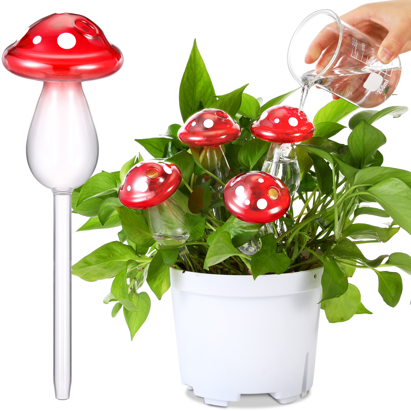 watering bulbs sold on Temu United States