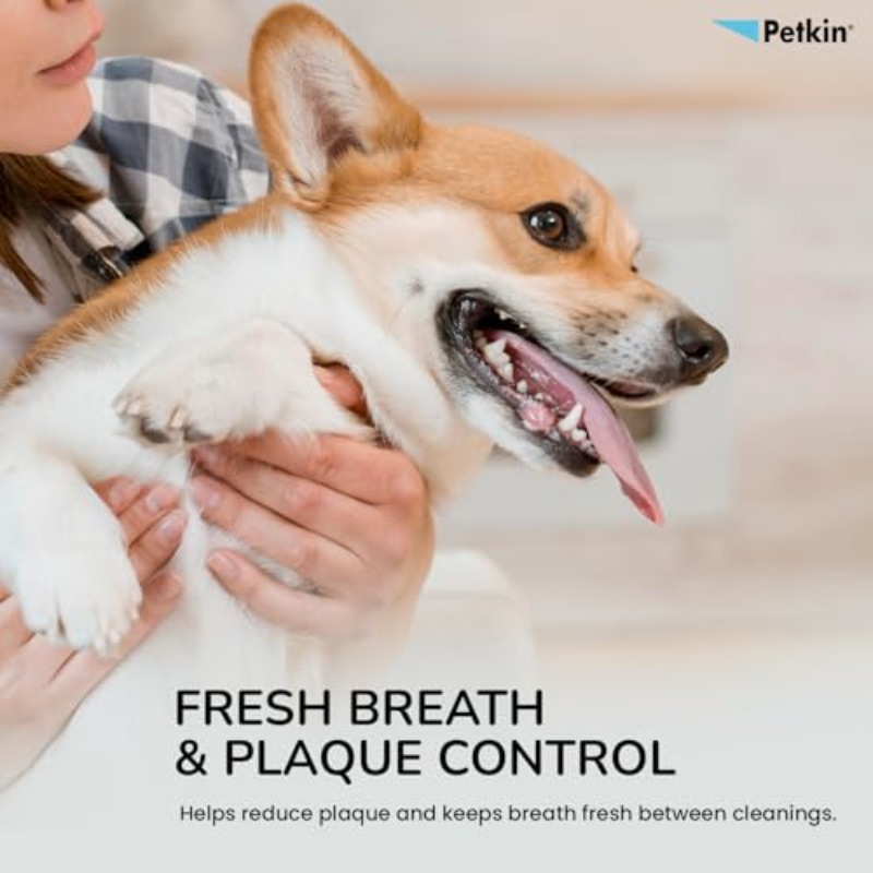 Pet Toothwipes 40 Count