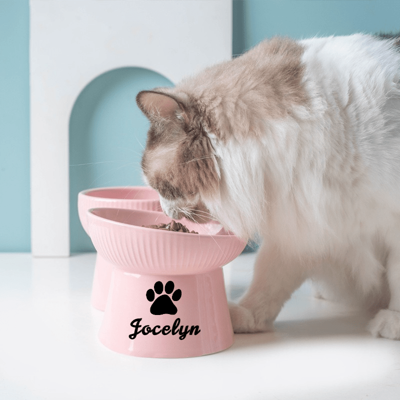 Customized Ceramic Cat Bowls with High Stands
