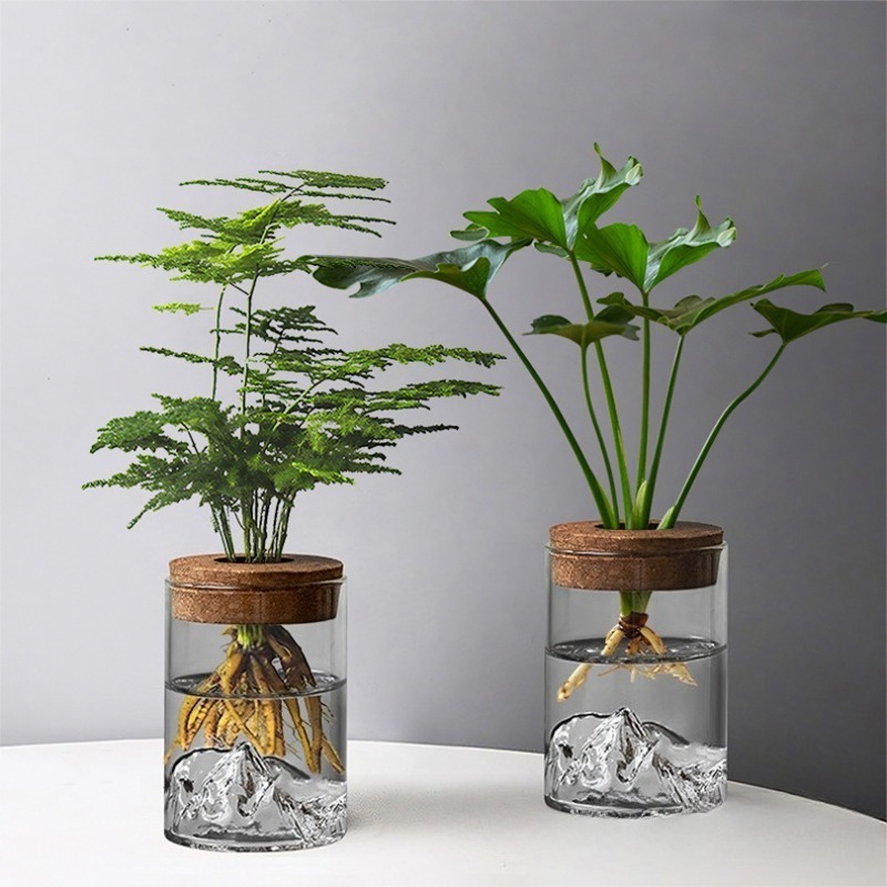 2pcs set   glass vase hydroponic green plant micro landscape creative desktop decoration for     potted plant for   Product details 3