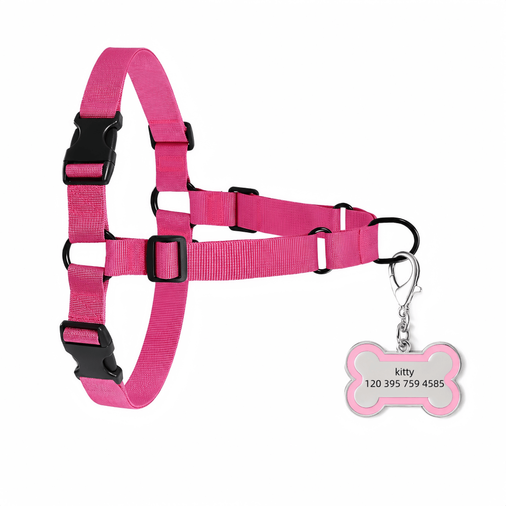 Customized Bone-Shaped Name Tag with Adjustable Nylon Leash