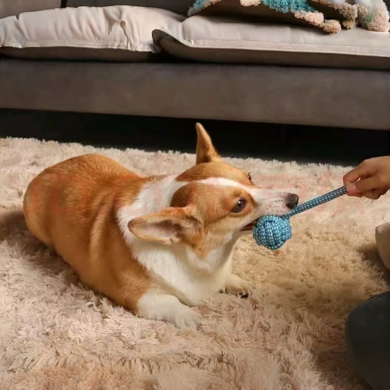 1pc Heavy-Duty Braided Rope Dog Chew Toy, Random Color Rope Ball with Textured Grip - Interlocked Rope Ball for Power Chewers, Teeth Cleaning And Training, Durable Molar - Suitable for Fetch
