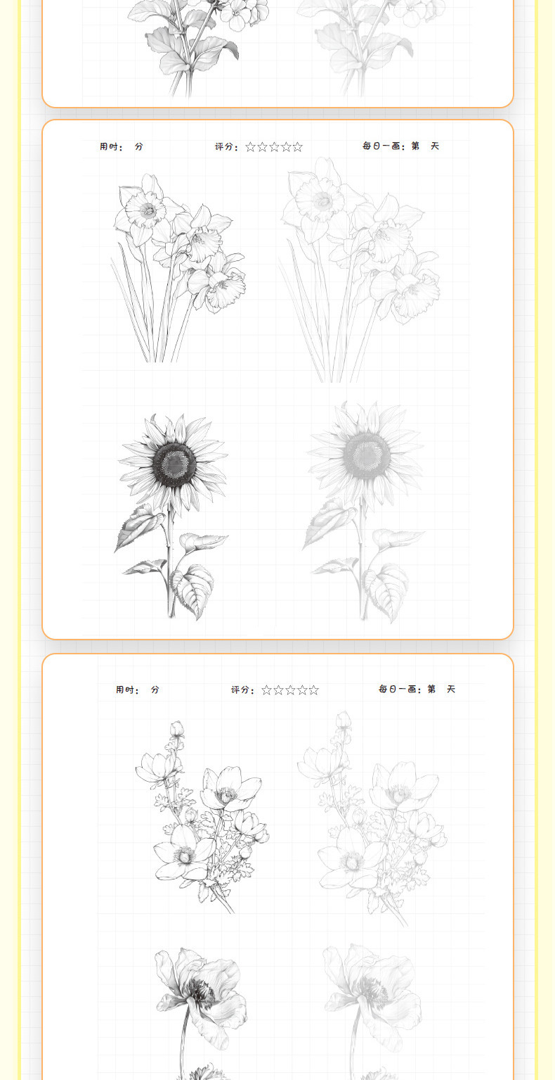 Flower Painting Pencil Line Drawing Copybook Chinese Version