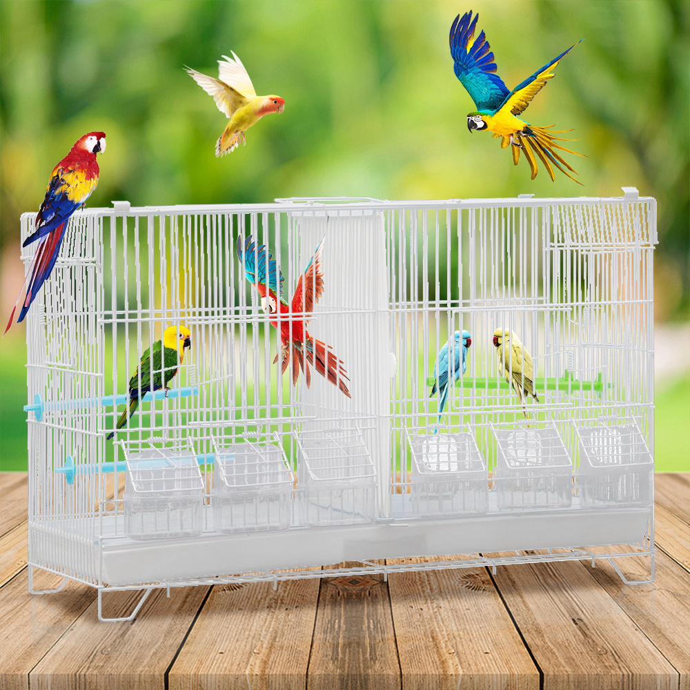 Image of Small To Medium-sized Parrot Cage, Mesh Cage, Square Pet Cage, With Divider, 2 Perches, 2 Injection-molded Food Cups, Drawer Tray, 60 X 26 X 39.5 Cm, White