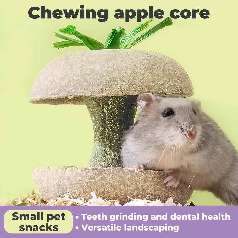 Hamster Chew Toys Food Bowl - Guinea Pig Toys Teeth Hamster Cage Additions Chew Treats for Rabbit, Bunny, Chinchilla, Rat And Small Animals 7.87cm Core Shaped