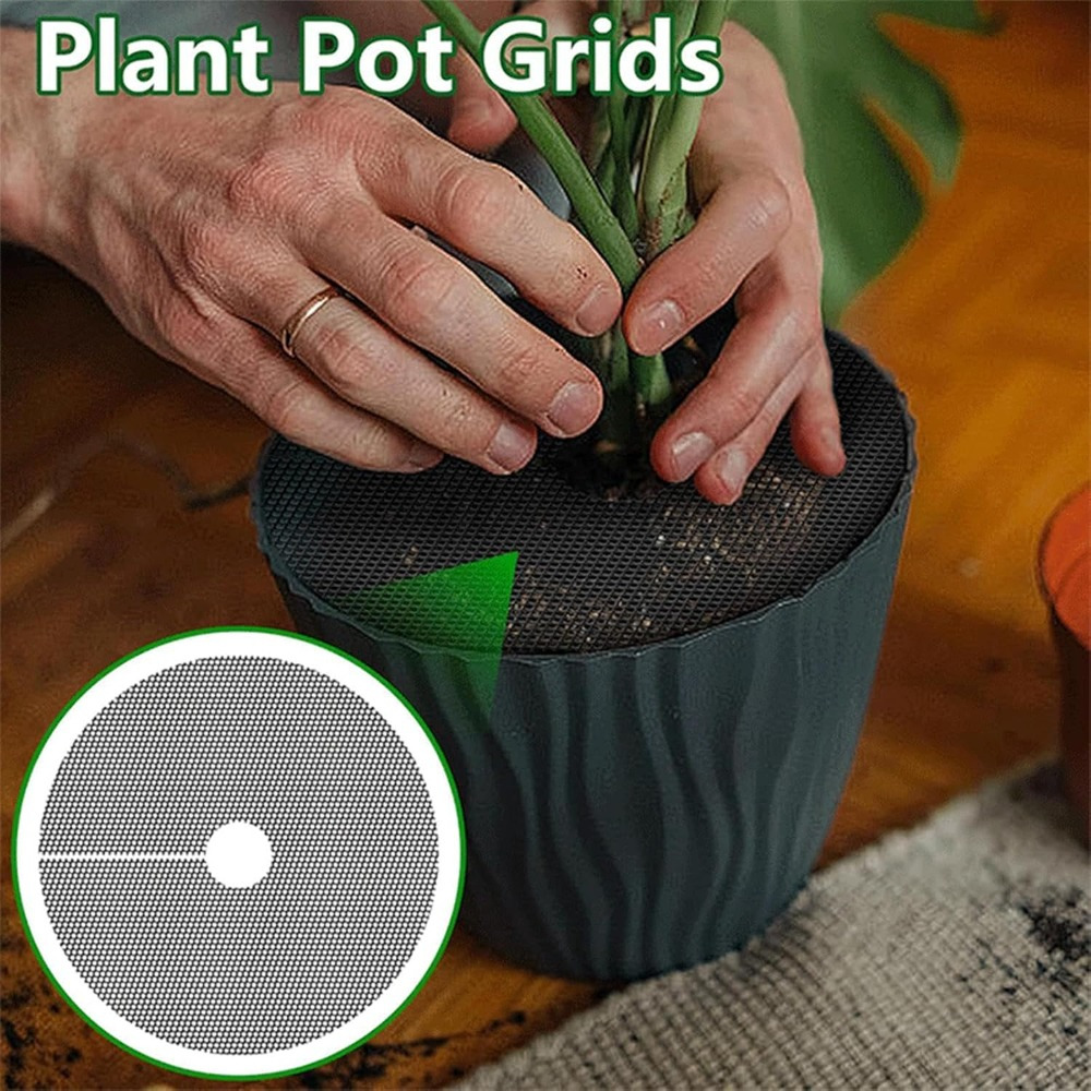 plant pot cover - Bahrain