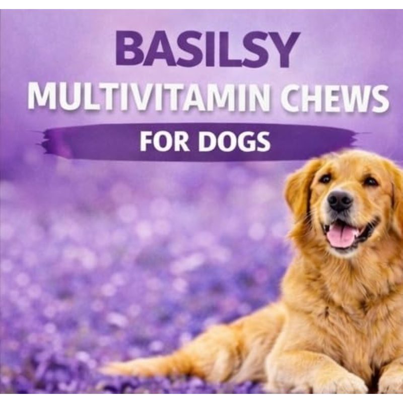 BASILSY MULTIVITAMIN Chicken Chews 120 Each