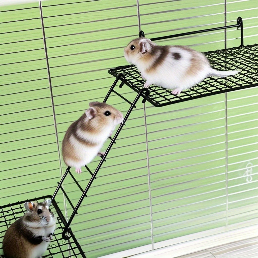 3pcs Stainless Steel Two-Layer Hamster Resting Platform Set