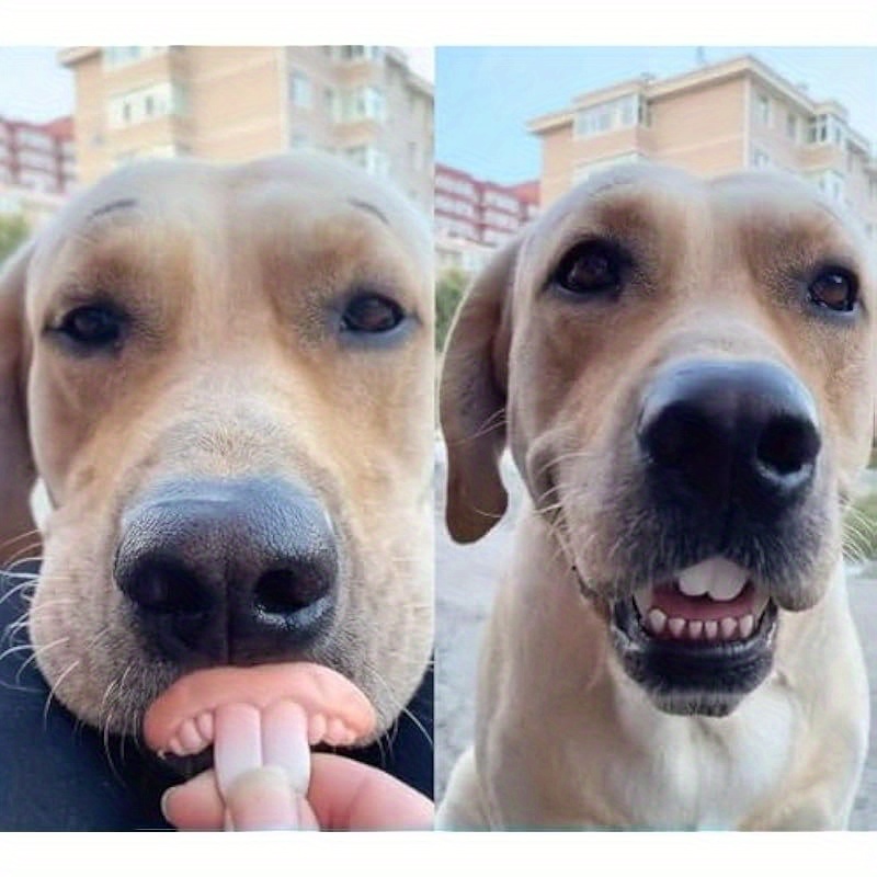 Dog Braces For Teeth Funny Dog Buck Teeth Braces Toy, Marmot Dress