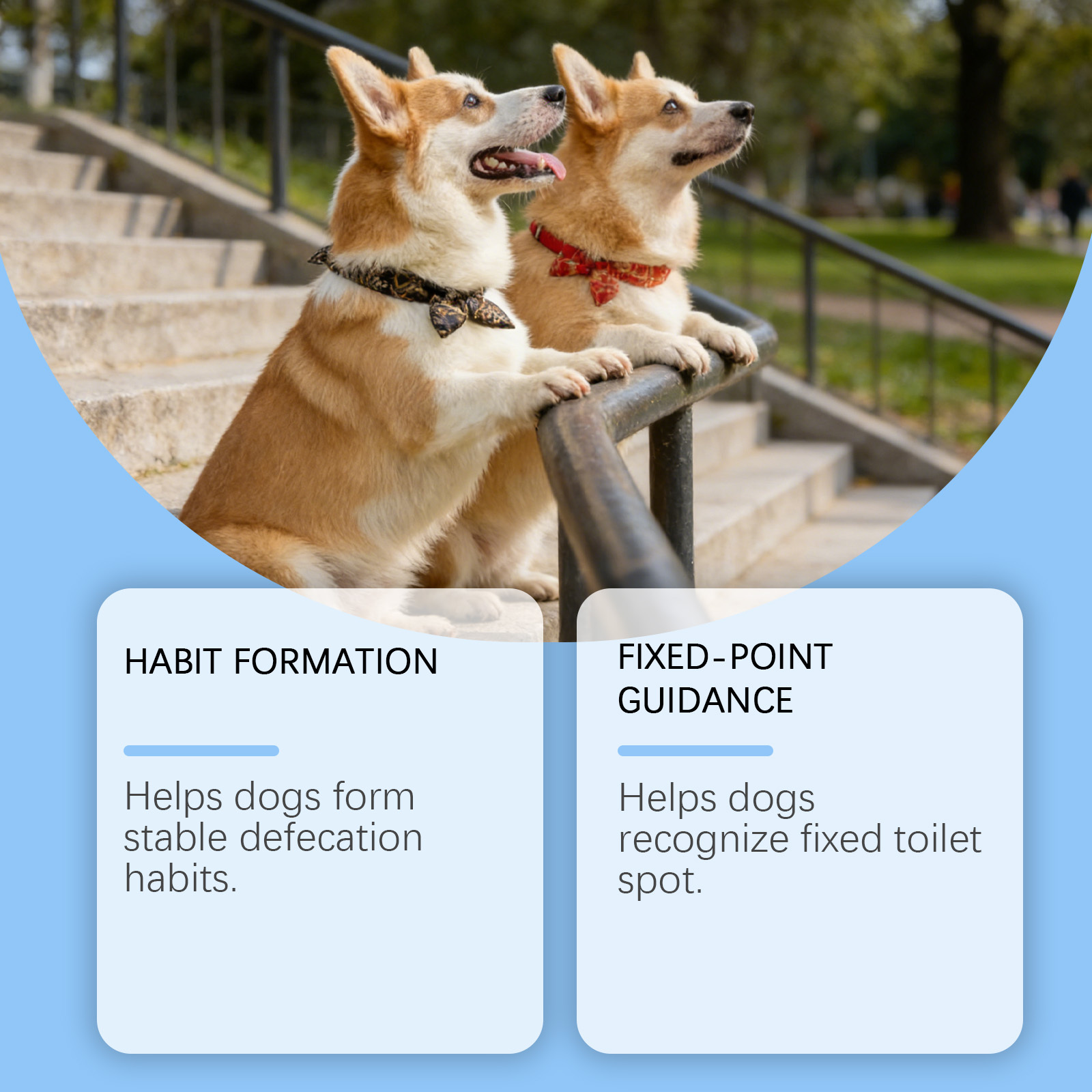   dog potty training spray daily training guide for puppies convenient spray for potty positioning Product details 4
