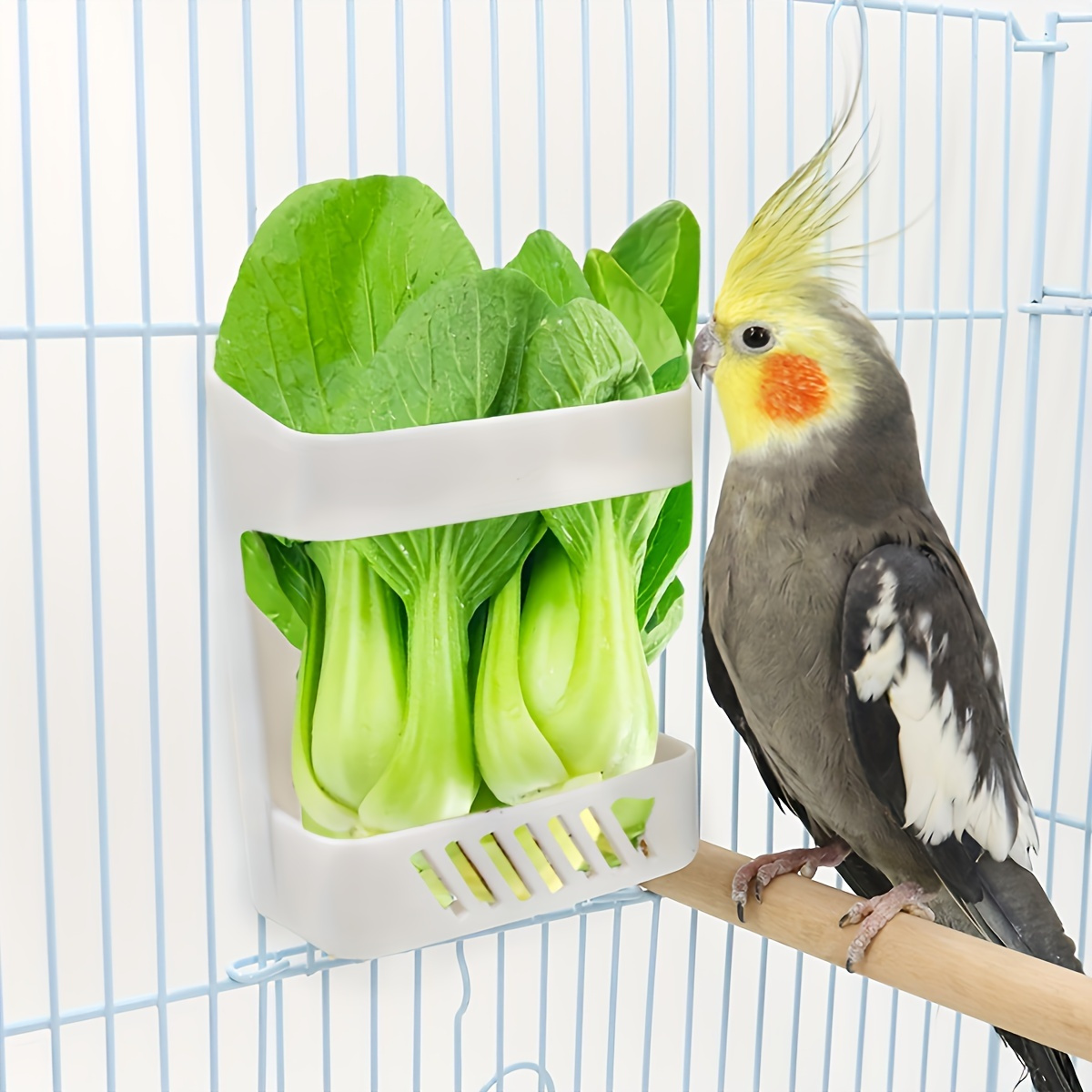 A White Feeding Stand For Parrots, Suitable For Fruits And Vegetables, Without Battery