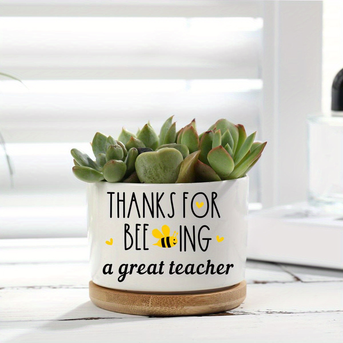 TEMU 1pc Ceramic Plant Pot With Bamboo Tray - "thanks For A Great Teacher" Design, Succulents, Mother's Day, Birthday, Christmas & Year-end