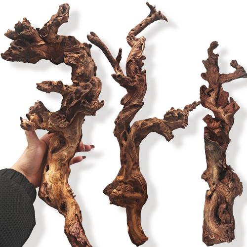 1pc large random shape decorative wood fish shelter and landscape for aquarium