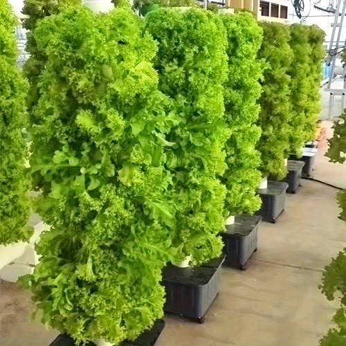 15 tier vertical hydroponic with 45 plant capacity movable water tank pump timer system outdoor soilless for herbs vegetables fruits space saving vertical farming for balcony