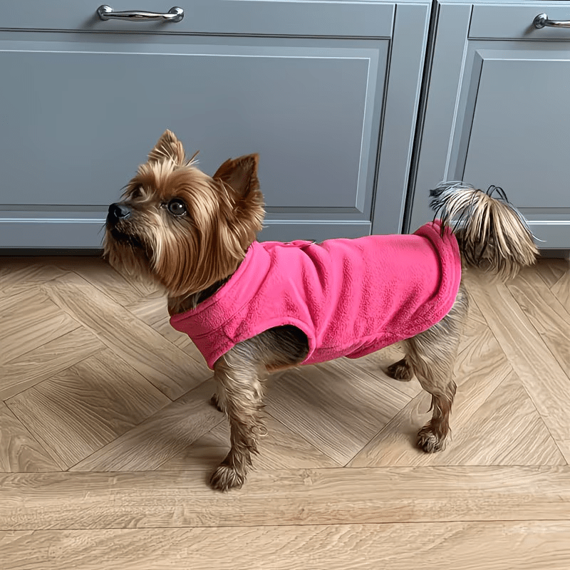Golden Glitter Paw Print D-Ring Dog Clothes, All-Season Warm and Comfortable Vest, Personalized Pet Apparel for Small Dogs, Cat and Dog Gift