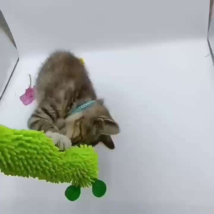 Interactive Plush Broad Bean Cat & Dog Toy - Soft Fabric Pillow with Cute Cartoon Animal Print, No Batteries Needed, Durable Plastic Material for All Breeds & Sizes, Safe Pet Stimulation & Playtime Companion, Playful Design