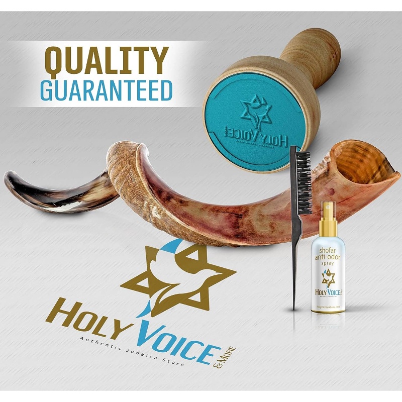 Kosher Kudu Shofar Horn from u2013 Traditional Half - Polished Yemenite Shofar Includes Carrying Bag, Brush and Blowing Guide - Easy Blowing Ancient Musical Instrument 2428, Spiritual Instrument, Religious Ceremony, Handcrafted Design, Artisan Made, Durable Construction, Rituals And Ceremonies