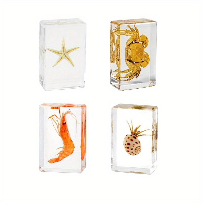 24 Styles Insect In Resin Specimen Butterfly Bugs Collection Paperweights,Real Bug Ocean Anima Specimen Bug Kit Preserved In Resin For Scientific