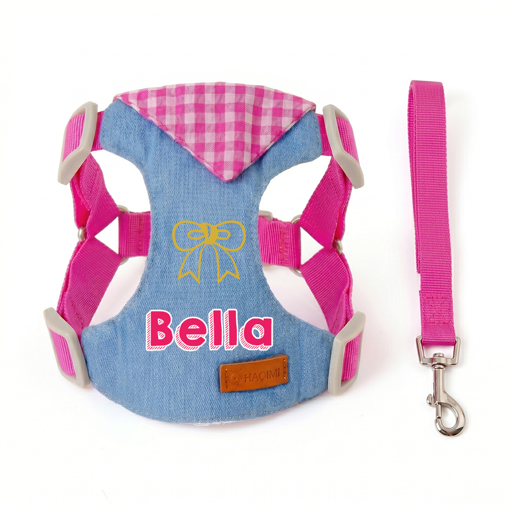 Personalized Custom Pet Harness and Leash Set