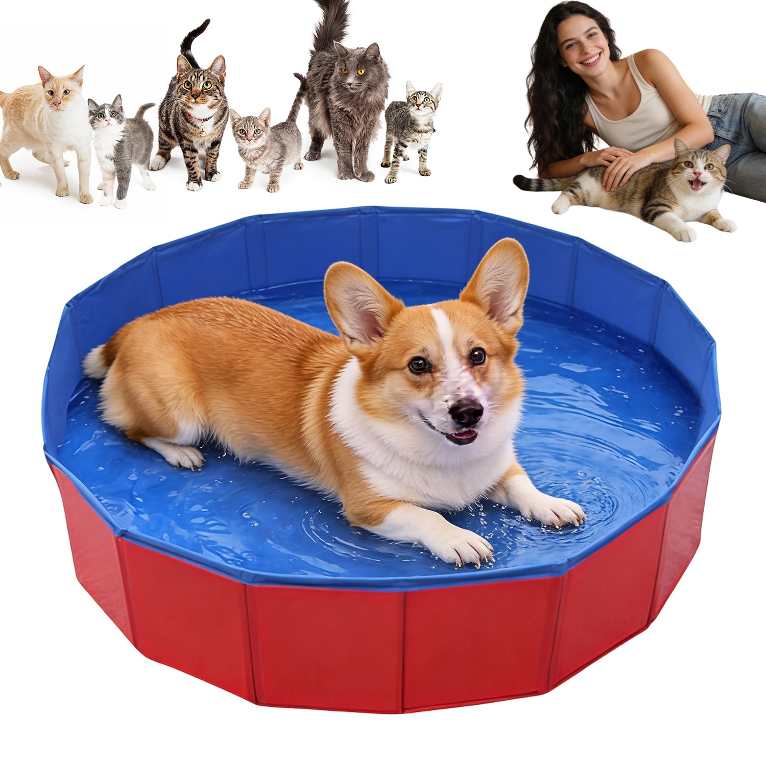 Akkee Compact Collapsible Outdoor Pet Washing Pool, Durable Swimming And Bathing Basin, Ideal For Pet Grooming