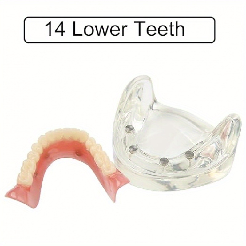 Dental Implant Model 4 Times Size - Patient Education Tool With Crown & Bridge Demonstration - Pink Dental Training Model
