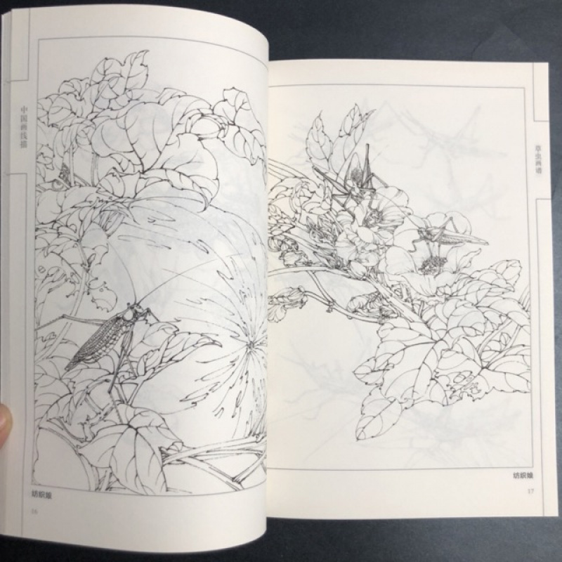 Chinese Line Drawing Grasshopper Painting Book: Beginner's Guide to Traditional Chinese Art, Sketching for Relax - DIY Coloring Book for Teens and Adults, Watercolor, Ink Wash, Oil Painting Chinese Version